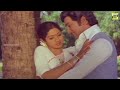 Sobhan Babu, Sridevi Evergreen Superhit Video Song | Karthika Deepam Movie Songs | Telugu Songs