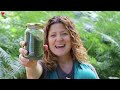 How To Forage Nettle Seeds