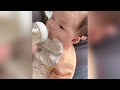 Funny and Adorable moments | Funny reaction thr cutest babies playing happy | baby compilation video