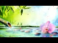 3 Hours Relaxing Piano Music 🎵 Healing Piano Music, Meditation Music, Relaxing Music (Daisy)