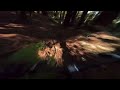 Santa Cruz MTB - One of the quick loops - jump line to steeps  - Turbo Levo 9.2.24