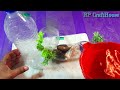 DIY - Tabletop Waterfall Fountain easy at home from plastic bottle // Water Fountain Craft