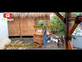 Jasa Rumah bambu/ bamboo house 4x6 minimalis mojokerto jawa timur