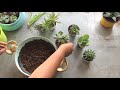 DIY Succulent Planter from old frying pan | Trash to Treasure E-2 | SimplyPretty Creations