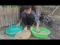 Nam's orphan boy goes to pick bananas to sell. Gardening to grow peanuts | Nam - poor boy