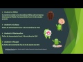 Historia de Android