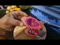 Desert King Hybrid dragonfruit first taste.