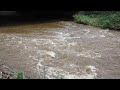 Manoa Stream at Woodlawn Bridge after dredging project