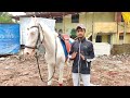 Professional techniques to learn horse riding |hindi| |rider| Abhishek Mhatre