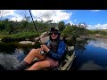 Kayak Fishing for GIANT Australian Bass!!