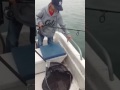 Bat Ray fishing