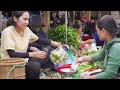 Tiểu Vân Harvesting PONKAN, SUGAR CANE Goes To The Market Sell | Cooking & Gardening | Country Life