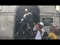INCREDIBLE: King's Guard Delivers EPIC Shout at Tourist Caught Holding Horse Reins!