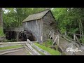 Cades Cove Loop: 7 tips including how long it takes