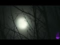 4 True Scary Stories With Rain & Haunting Ambience