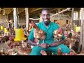 From Medical Doctor to Chicken Farmer | Dr. Daniel Masaba | TEDxIUEA