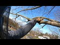 TREECLIMBERS | Love Their Rope Runner Pro | Ep. 10