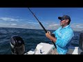 Northern NSW Mackerel! How to catch spotted and spanish mackerel north coast style.