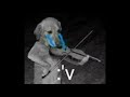 Perro sad tocando el violin :'v