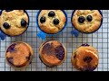EASY ONE BOWL High Protein Blueberry Muffins!