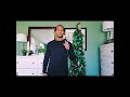 The Christmas Song (cover)