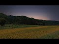 Nature Sounds - Sounds of the Countryside Evening | Nature Sounds - Relaxing, Calming, Sunset