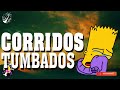 Corridos Tumbados Mix 2024 🧡 Corridos Nuevos| Éxito Corridos Belicos Mix 2024