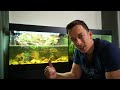 Building an EPIC PALUDARIUM the EASY WAY!
