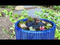 DIY Planter Water Fountain with Pond Plants