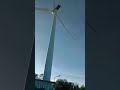 Windmill Farm Pillilia Rizal ❤️