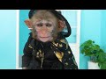 Monkey Baby Bon Bon eat jelly egg and Funny stories with ducklings in the swimming pool