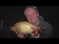 Rudd Fishing : Rudd Feeder Rigs & Rudd Baits