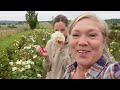Let's Chat About ROSES| Our favorites & what sells best on our cut flower farm |vlog
