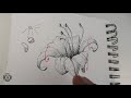 3 Tips on How to Shade Flowers | How to Draw Flowers Pt2