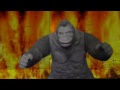 Kong's Awakening