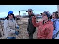 Day 2 of the Spring Trail from the winter pasture to the mountain pasture, Wyoming 307-24/7   4K