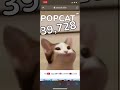 Popcat 35000-40000 (total 5000 clicks)