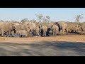 Herd of Elephants passing near Makgadikgadi Pans