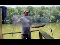 How to make a quick and easy fish basket/ trap to catch minnows for bait