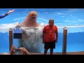 Sea Lions Tonite - Full Show during Electric Ocean at SeaWorld Orlando