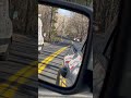 New Bears Cross Woodsy Road In Connecticut || ViralHog