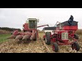 Vintage Corn Harvest 2021! IH 615 Combine and Farmall 450 Diesel.