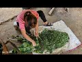 FULL VIDEO: 180 Days Alone Building farm - gardening - Building life | Farm life