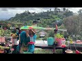 Hummingbird Cheap Shelter COVER SAVING Hummingbirds from Heavy Rain & Hot Sun for Shade & Protection