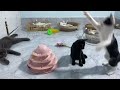 Funniest Dogs And Cats Videos 2024😬You Laugh You Lose🐶