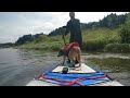 Paddleboard dog goes in a circle