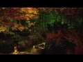 京都の紅葉 Autumn colors in Kyoto HD