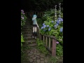 Hide And Seek feat.Hatsune Miku by ryuryu【Music Video】