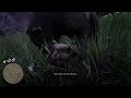 Bear attacks Arthur mid mission