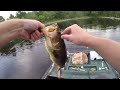 Largemouth Bass on the Buzzbait and Spinnerbait during summer.